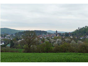 Bittprozession an der Weingartenkapelle (Foto: Karl-Franz Thiede)